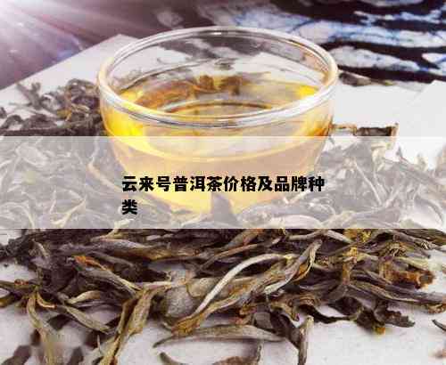 云来号普洱茶价格及品牌种类