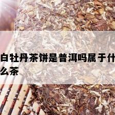 白牡丹茶饼是普洱吗属于什么茶