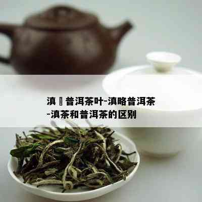 滇垚普洱茶叶-滇略普洱茶-滇茶和普洱茶的区别