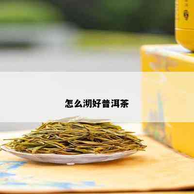 怎么沏好普洱茶