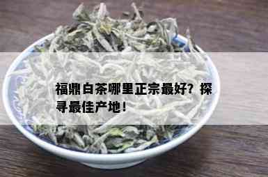 福鼎白茶哪里正宗更好？探寻更佳产地！