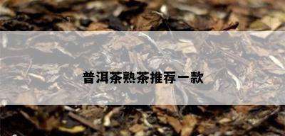 普洱茶熟茶推荐一款