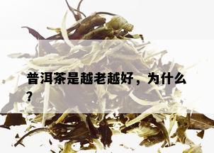 普洱茶是越老越好，为什么？