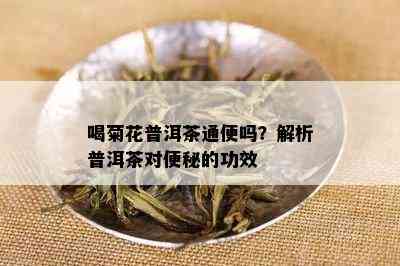 喝菊花普洱茶通便吗？解析普洱茶对便秘的功效