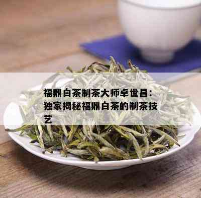 福鼎白茶制茶大师卓世昌：独家揭秘福鼎白茶的制茶技艺