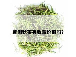 普洱秋茶有收藏价值吗？