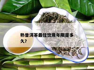 熟普洱茶更佳饮用年限是多久？