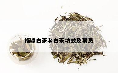 福鼎白茶老白茶功效及禁忌