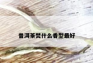 普洱茶焚什么香型更好