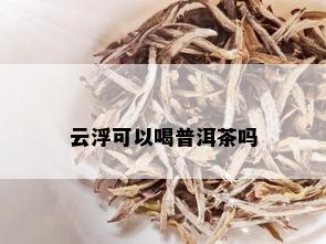 云浮可以喝普洱茶吗