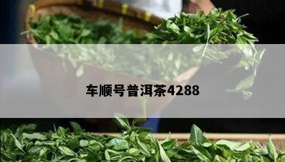 车顺号普洱茶4288