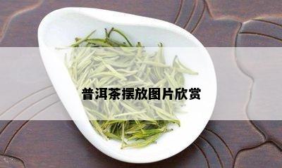 普洱茶摆放图片欣赏