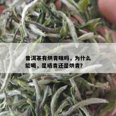 普洱茶有烘青味吗，为什么能喝，是晒青还是烘青？