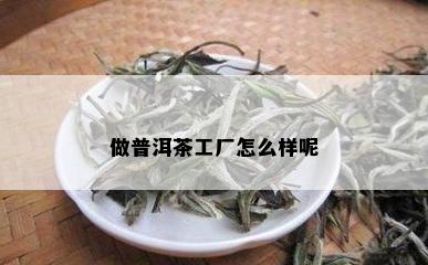 做普洱茶工厂怎么样呢