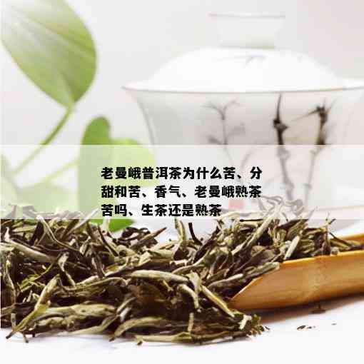 老曼峨普洱茶为什么苦、分甜和苦、香气、老曼峨熟茶苦吗、生茶还是熟茶