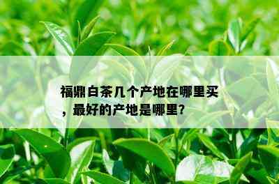 福鼎白茶几个产地在哪里买，更好的产地是哪里？