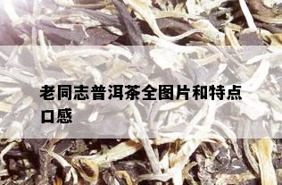 老同志普洱茶全图片和特点口感