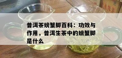 普洱茶螃蟹脚百科：功效与作用，普洱生茶中的螃蟹脚是什么