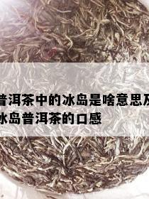 普洱茶中的冰岛是啥意思及冰岛普洱茶的口感