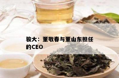 骏大：董敬春与董山东担任的CEO