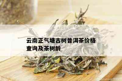 云南正气塘古树普洱茶价格查询及茶树龄