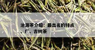 沧源茶介绍：最出名的特点、厂、古树茶