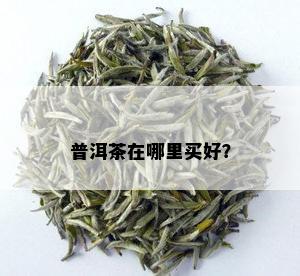 普洱茶在哪里买好？