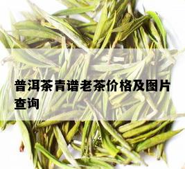 普洱茶青谱老茶价格及图片查询