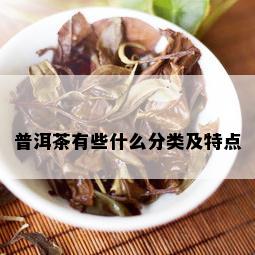 普洱茶有些什么分类及特点