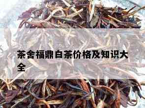 茶舍福鼎白茶价格及知识大全