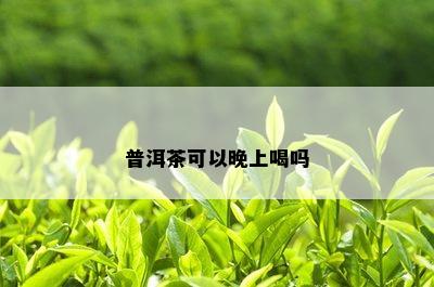 普洱茶可以晚上喝吗