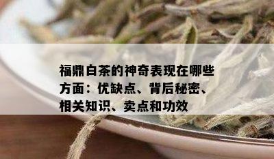 福鼎白茶的神奇表现在哪些方面：优缺点、背后秘密、相关知识、卖点和功效