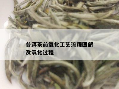 普洱茶前氧化工艺流程图解及氧化过程