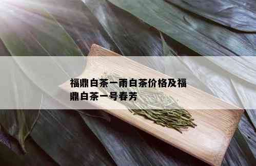 福鼎白茶一雨白茶价格及福鼎白茶一号春芳