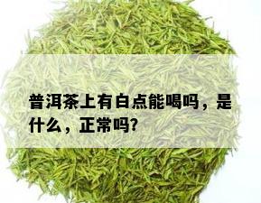 普洱茶上有白点能喝吗，是什么，正常吗？