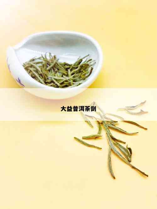 大益普洱茶倒