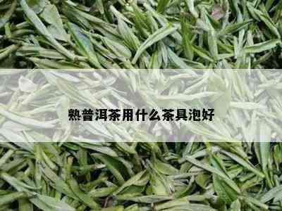 熟普洱茶用什么茶具泡好