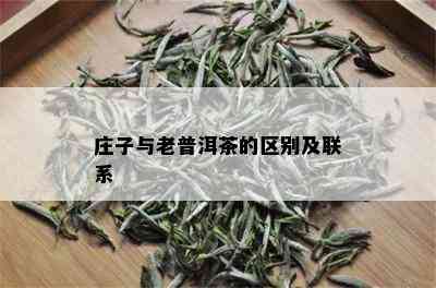 庄子与老普洱茶的区别及联系