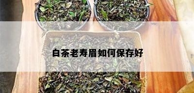 白茶老寿眉如何保存好