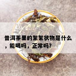 普洱茶里的絮絮状物是什么，能喝吗，正常吗？