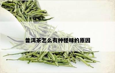 普洱茶怎么有种怪味的原因