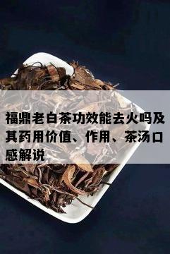 福鼎老白茶功效能去火吗及其药用价值、作用、茶汤口感解说