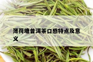 薄荷塘普洱茶口感特点及意义