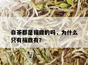 白茶都是福鼎的吗，为什么只有福鼎有？