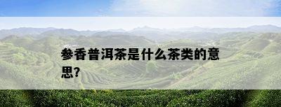 参香普洱茶是什么茶类的意思？