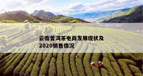 云南普洱茶电商发展现状及2020销售情况