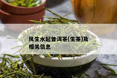 风生水起普洱茶(生茶)及相关信息