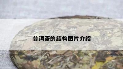 普洱茶的结构图片介绍