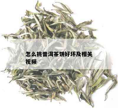 怎么挑普洱茶饼好坏及相关视频