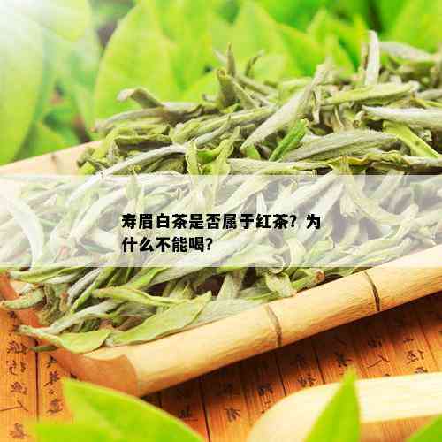 寿眉白茶是否属于红茶？为什么不能喝？